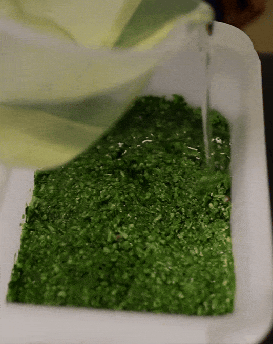 Green Zhug Recipe
(Spicy Coriander Sauce)