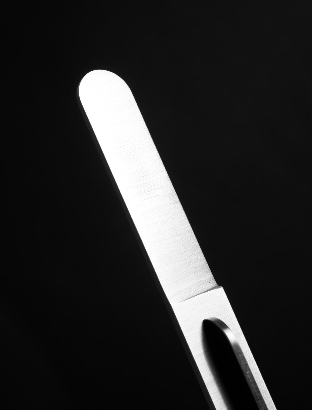 Butter Knife (Stainless Steel)