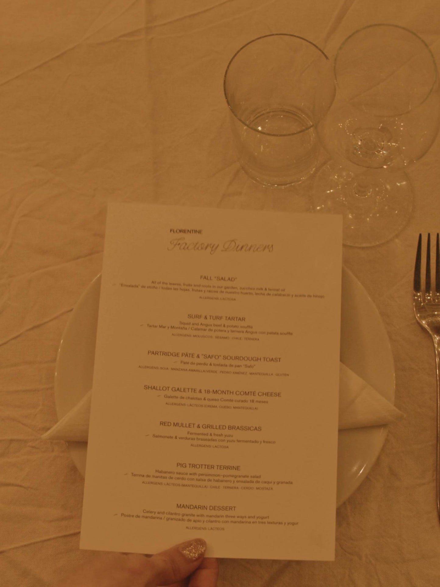 Factory Dinner #4—Middle Eastern Feast